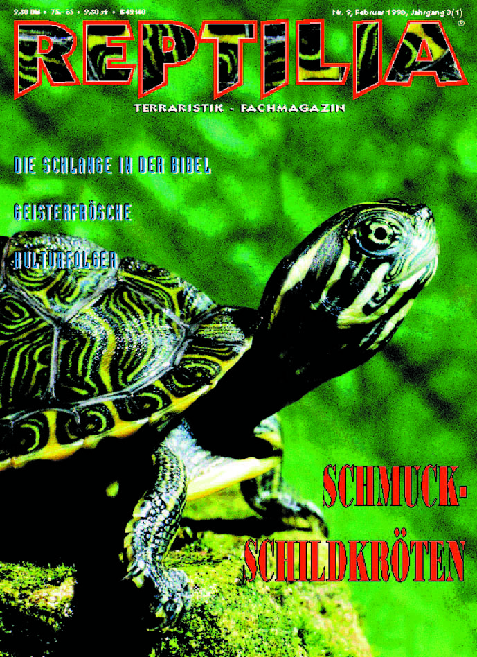 Reptilia 09 - Schmuckschildkröten
