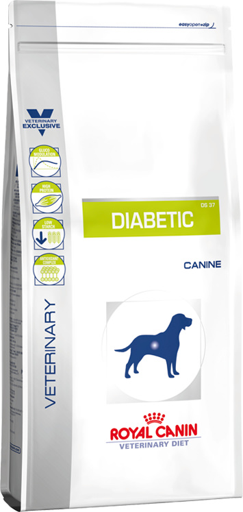 Dog Diabetic Dry