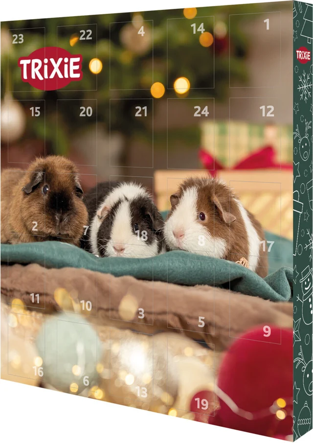 Trixie-Adventskalender mit drei Meerschweinchen (braun, schwarz-weiß, braun-weiß), die aus grünem Stoff hervorlugen. Vorn nummerierte Türchen, seitlich weihnachtlich verziert. Hintergrund: beleuchteter Baum, Geschenke.