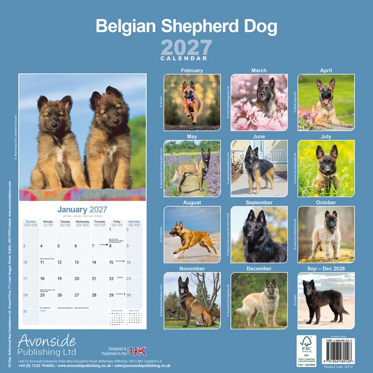 Kalender 2027 Belgischer Schäferhund - Belgian Shepherd Dog