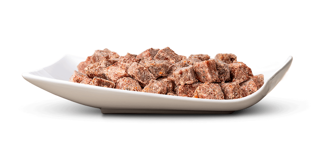Kleine, unregelmäßig geformte, bräunliche Brocken, vermutlich getrocknete Fleischwürfel oder Snacks, liegen in einer weißen, länglichen Schale mit leicht geschwungenen Seiten. Die Oberfläche wirkt strukturiert und trocken.