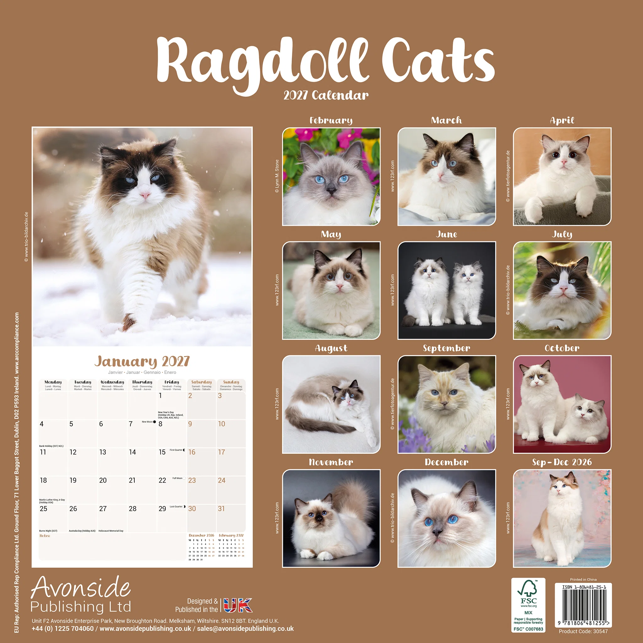 Kalender 2027 Ragdoll Cats