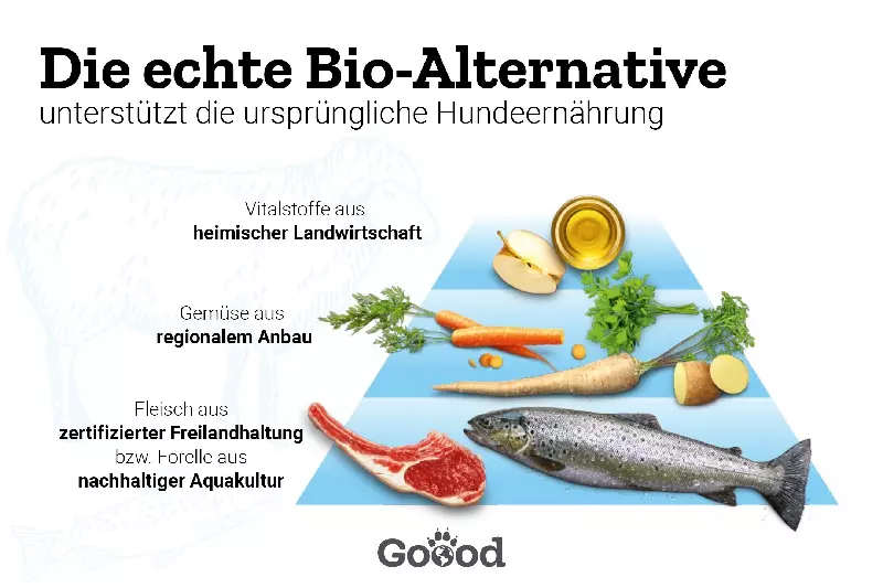 good-dose-junior-1 Goood Junior Mini Dose - Freilandlamm und nachhaltige Forelle