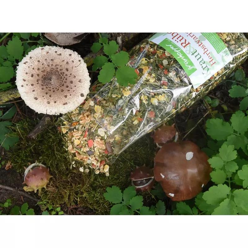 gruenhopper-kraut-und-rueben-1 Kraut und Rüben