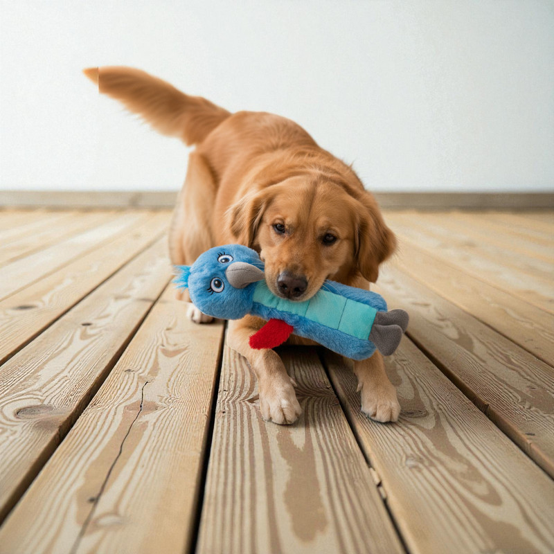 Growl Belly Burdz Percy der Papagei 