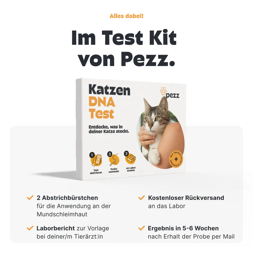 DNA-Test Rassenbestimmung für Katzen