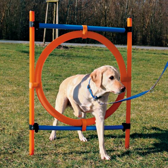 Dog Activity Agility Ring, 115 x Ø 3 cm, Ø 65 cm, orange/blau