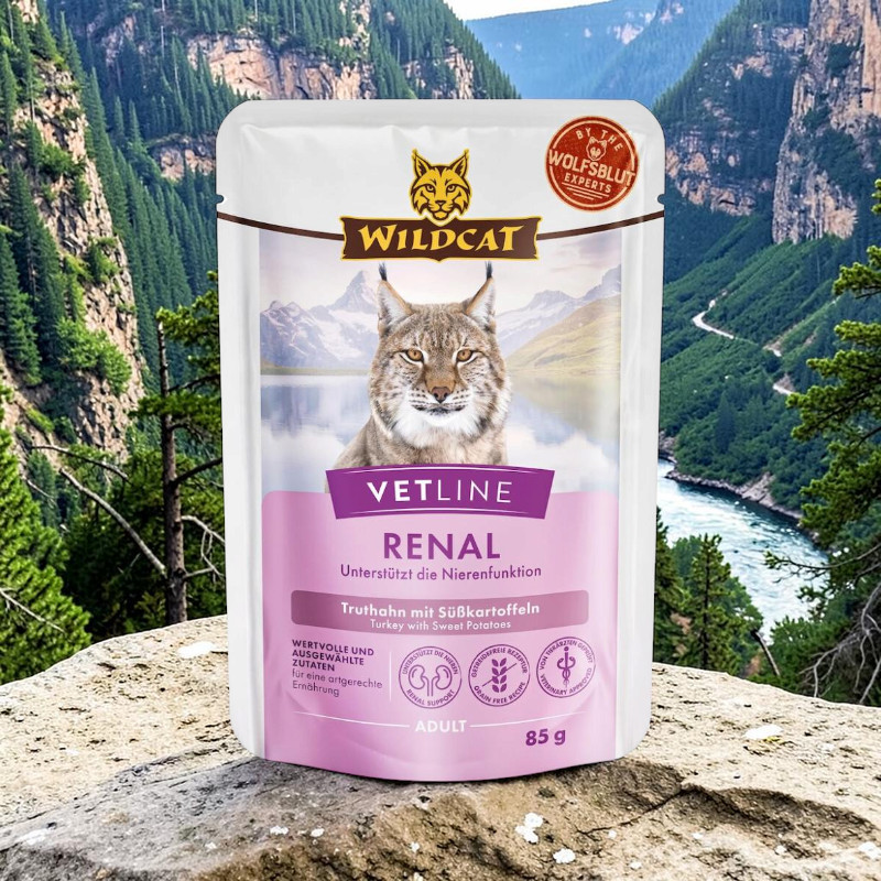 White cat food packet: Wildcat Vetline Renal shows cat standing on rock in mountainous landscape with river and coniferous trees. Text: lynx face, Wildcat, ‘Supports kidney function – turkey with sweet potatoes’, 85g.