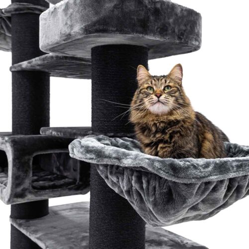 Un gatto a pelo lungo, dal manto marrone tigrato, con occhi verdi e lunghi baffi, è seduto rilassato su una morbida amaca grigia. È appoggiato su un grande tiragraffi grigio con ripiani e tronchi neri e guarda verso l'alto.