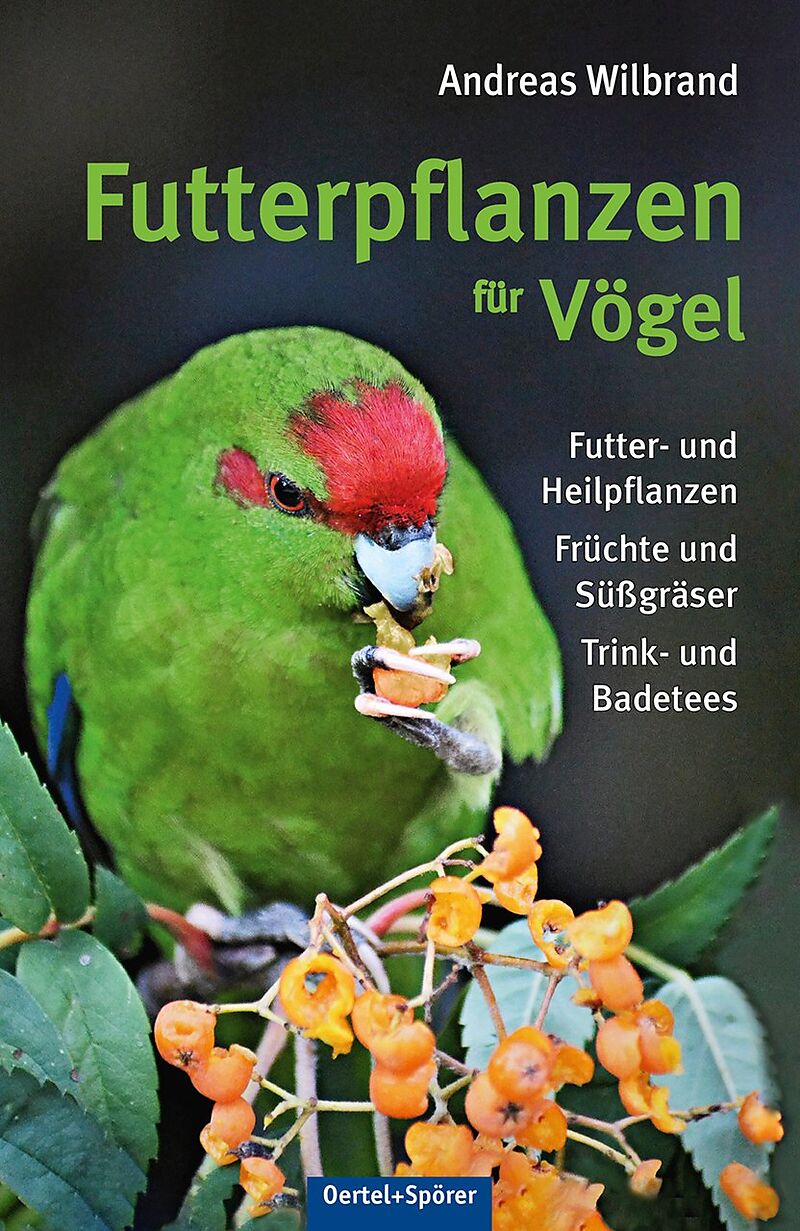Futterpflanzen für Vögel