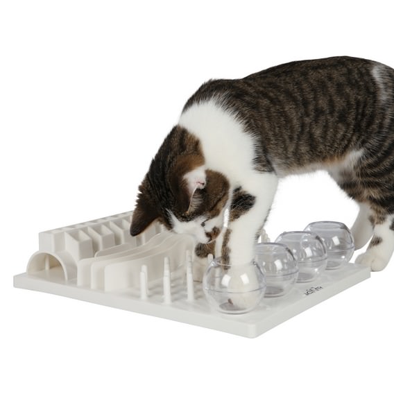 Cat Activity Fun Board, 30x40cm, white