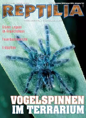 Reptilia 38 - Vogelspinnen im Terrarium