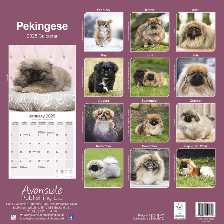 Kalender 2025 Pekinese - Pekingese - Palasthund Kalender 2025 Pekinese - Pekingese - Palasthund