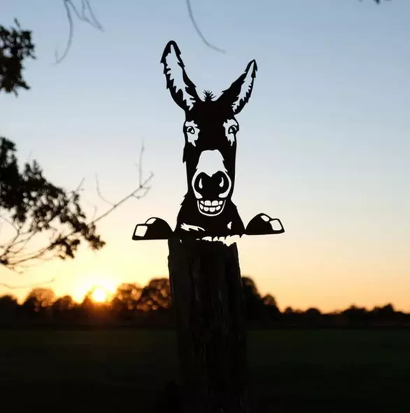 Animal silhouette donkey I