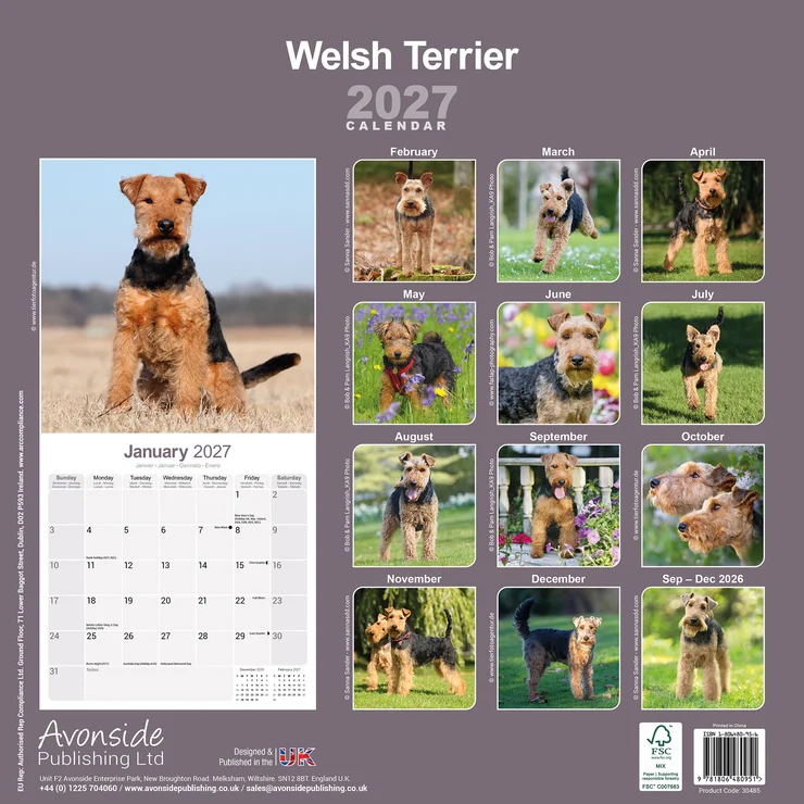 Kalender 2027 Welsh Terrier