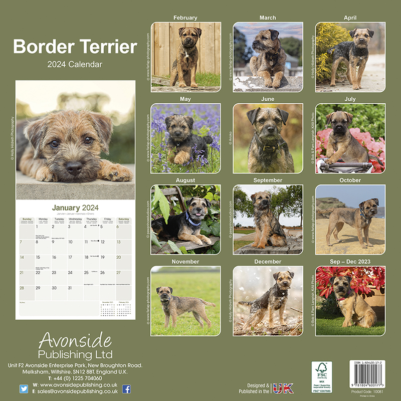 Calender 2023 Border Terrier
