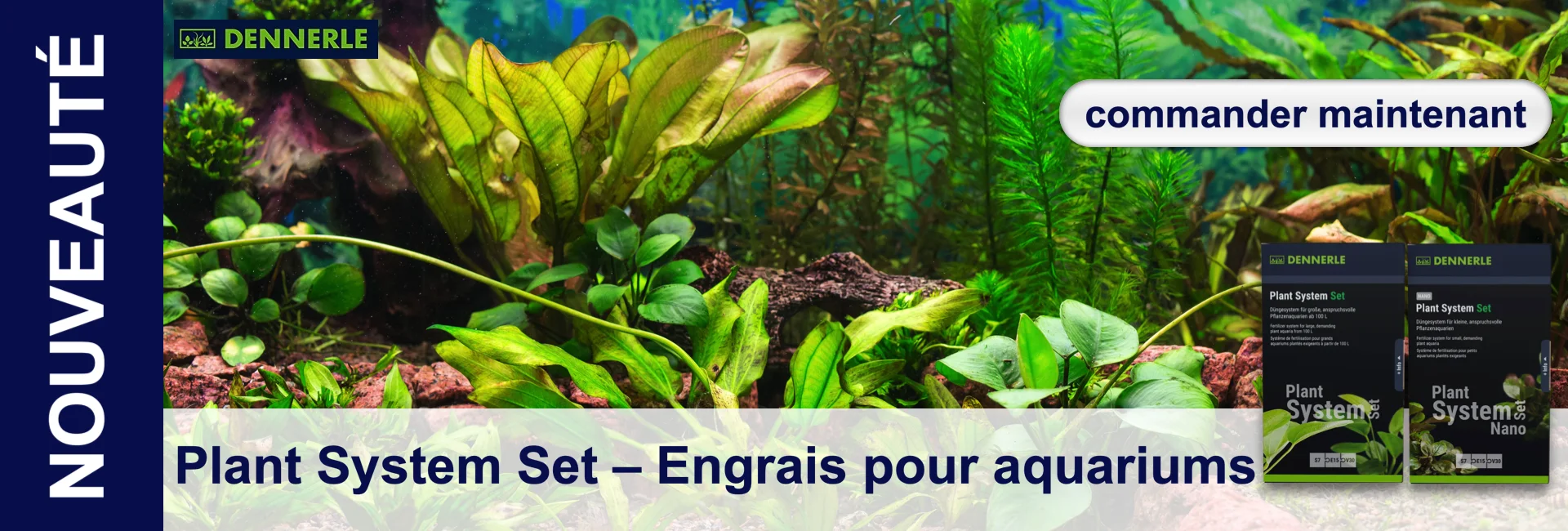 Système d'engrais pour plantes d'aquarium Set avec plantes dans un fond d'aquarium.