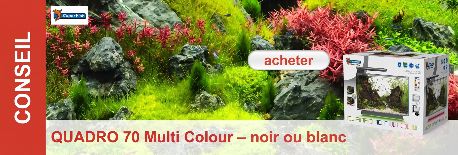 Aquascape vivant avec plantes aquatiques verdoyantes et rouges luxuriantes, rochers sombres et petits poissons bleus. À droite au premier plan, l’emballage QUADRO 70 Multi Colour de SuperFish, barre rouge « CONSEIL » et bouton « acheter ».