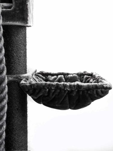 Ingrandimento in bianco e nero di un tiragraffi: a sinistra un robusto palo da graffiare rivestito con corda; a destra una morbida e soffice cuccia, piegata e invitante. Background chiaro e minimalista.