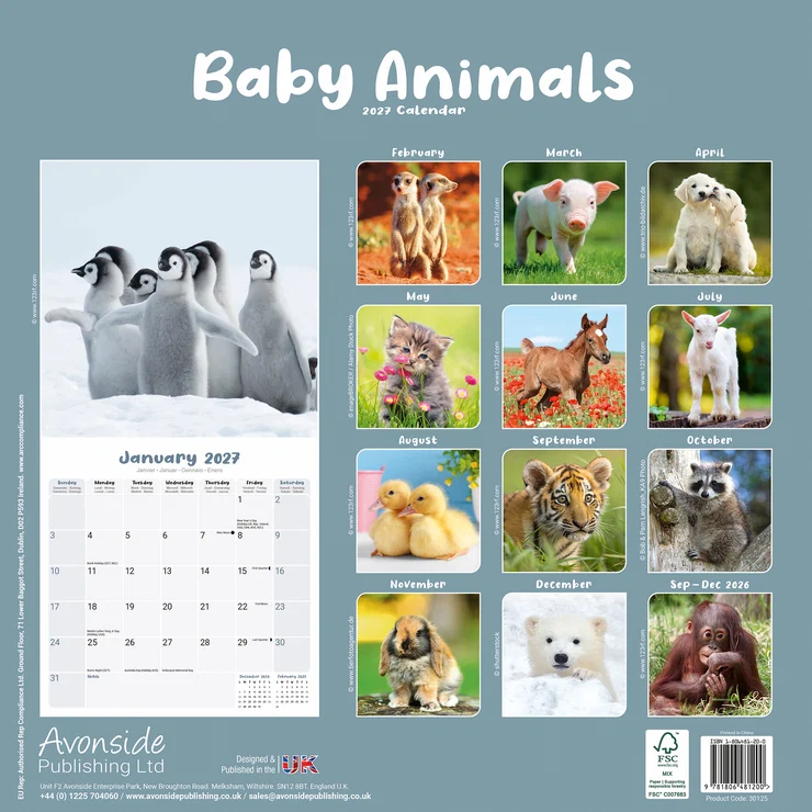 Kalender 2027 Tierkinder - Baby Animals