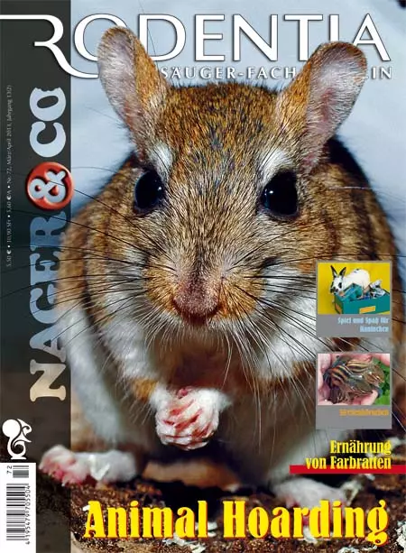 Rodentia 72 - Animal Hoarding