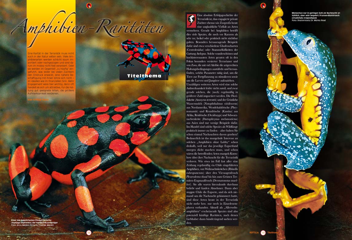 Reptilia 117 - Amphibien-Raritäten