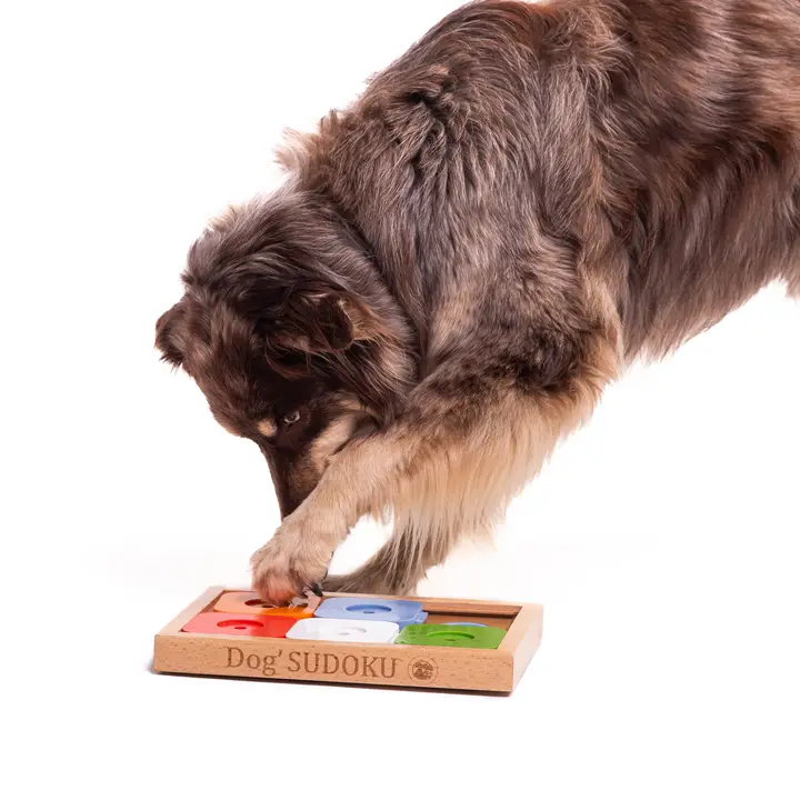 My Intelligent Pets - Sudoku Medium Advance