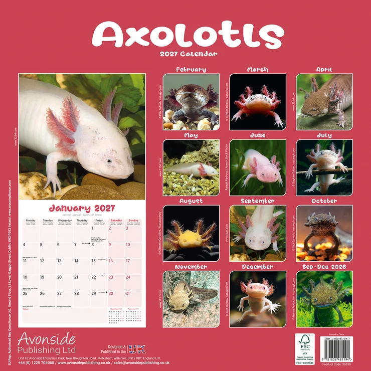 Kalender 2027 Axolotls