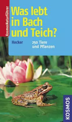 Kosmos, Was lebt in Bach und Teich?