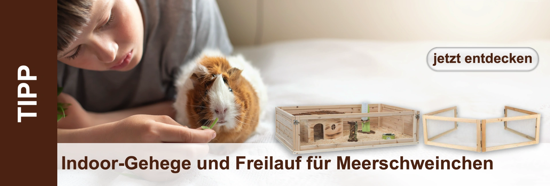 Bambino che dà da mangiare a un porcellino d'India, accanto a un recinto interno e a un recinto esterno per porcellini d'India.