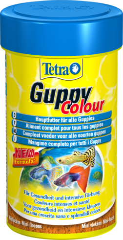 Tetra Guppy Colour 
