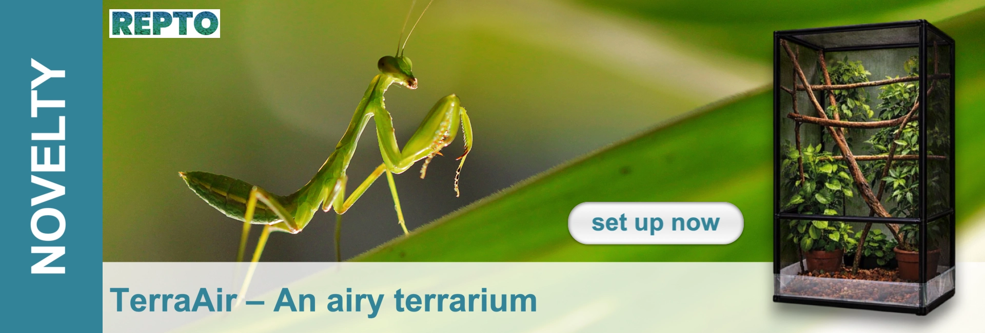 A bright green, slender praying mantis rests at the front on a broad, dark green leaf. At the back on the right stands a tall, modern terrarium with black netting, branches and lush plants, providing a natural habitat.