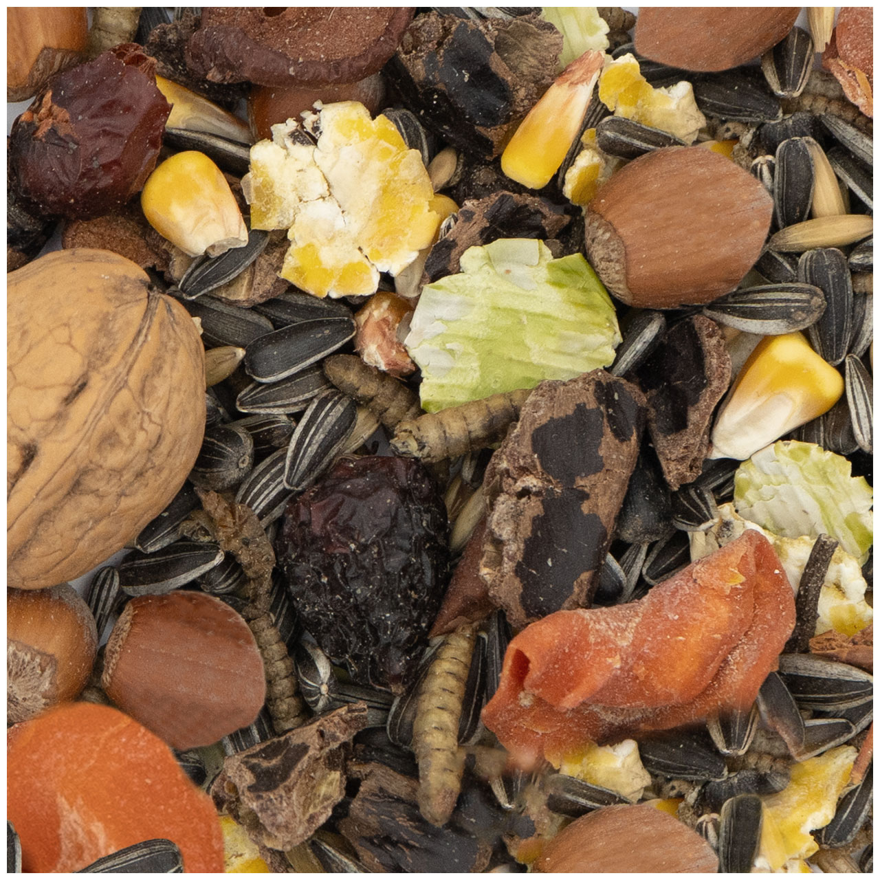Nahaufnahme einer Tierfutter-Mischung aus ganzen Walnüssen, Haselnüssen, schwarzen und gestreiften Sonnenblumenkernen, gelben Maiskörnern, getrockneten roten Beeren, orangen Karottenstücken, grünen Blattflocken und getrockneten Insektenlarven.