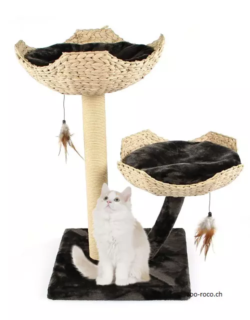 Kratzbaum Treelife Sorio