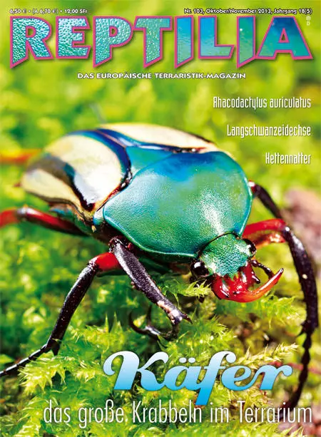 Reptilia 103 - Käfer - das grosse Krabbeln im Terrarium