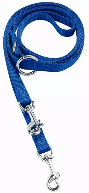 Laisse pour chien bleue