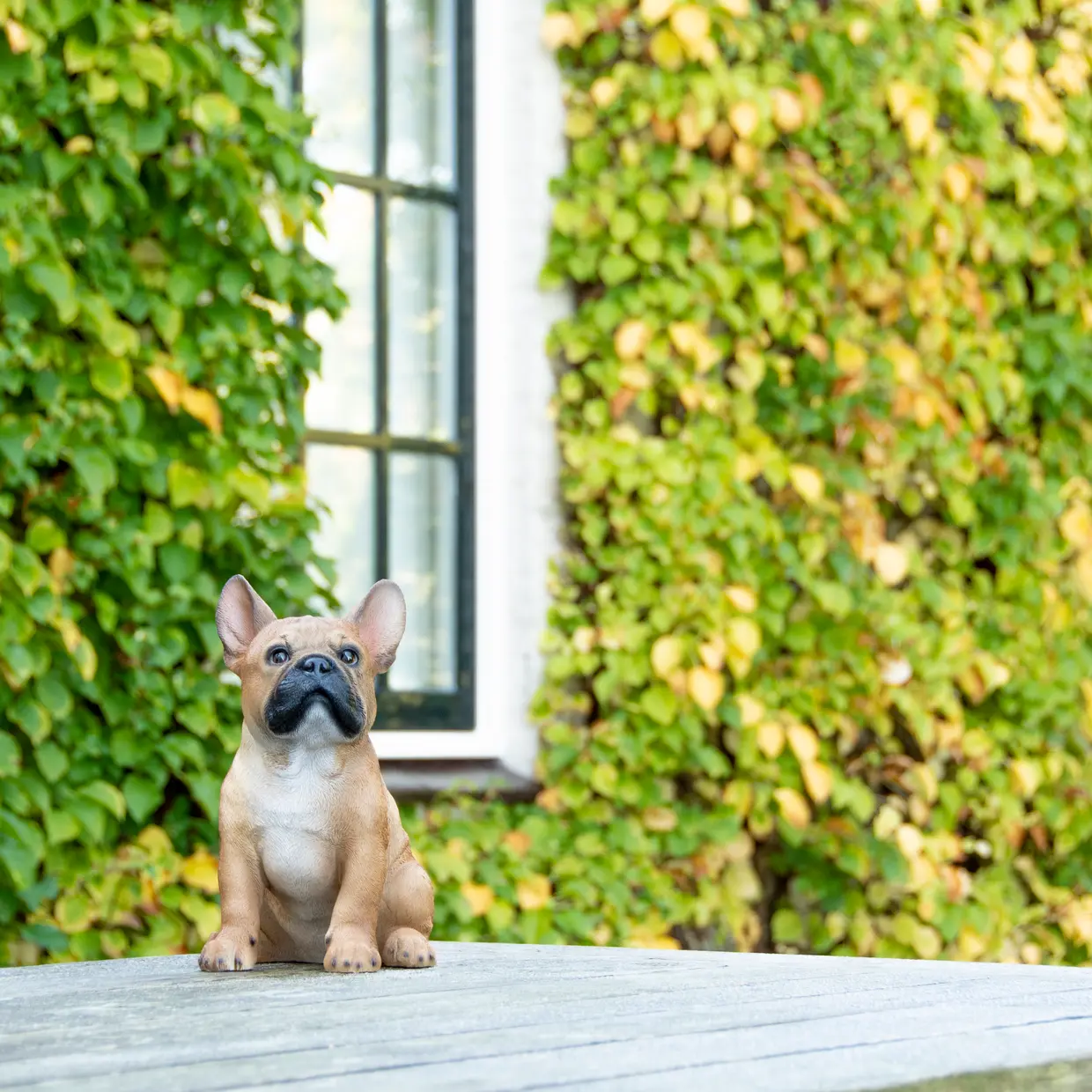 Deko-Figur Bulldogge sitzend
