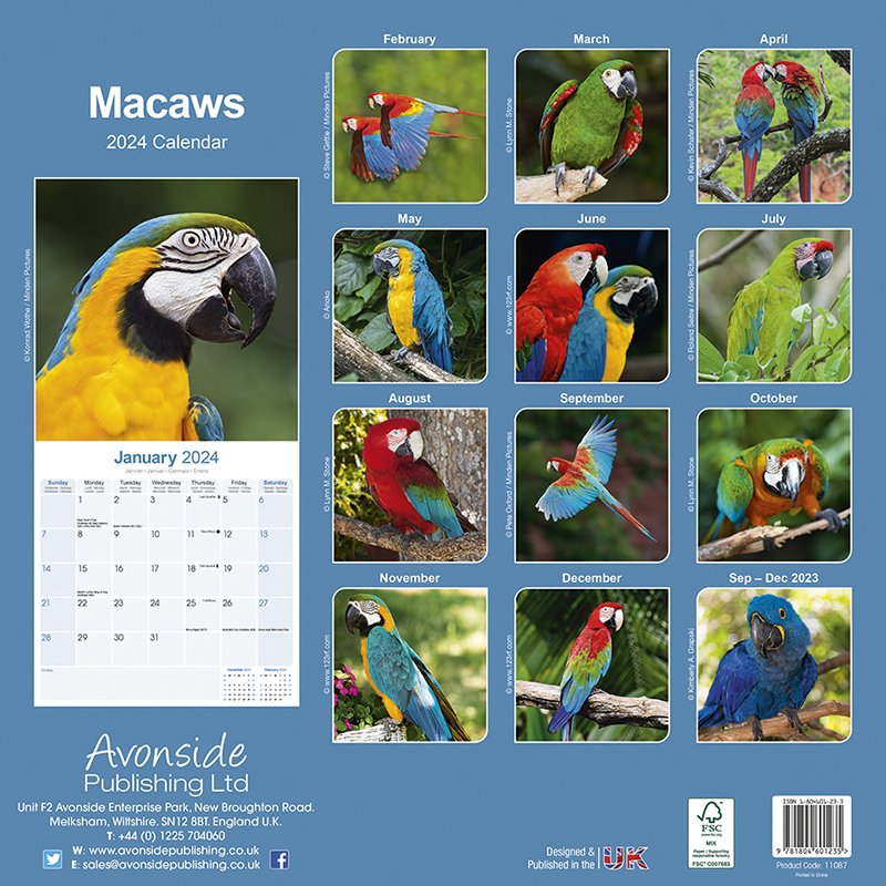 Kalender 2024 Ara - Aras - Macaws