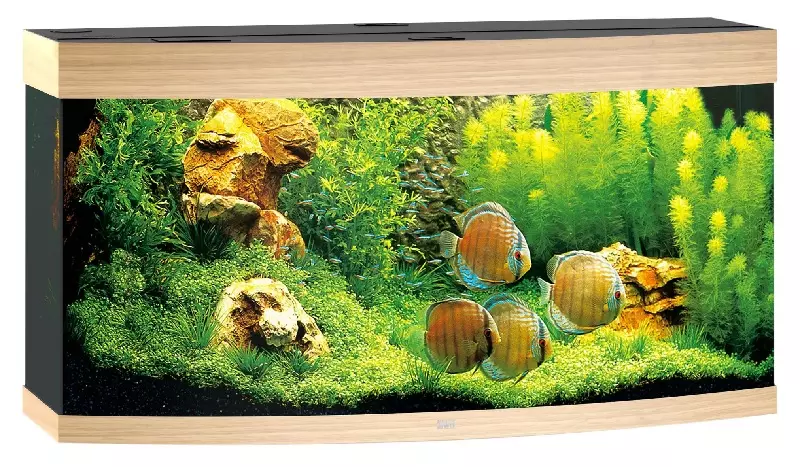 juwel-vision-aquarium-260-hell Juwel Vision 260 - Aquarium