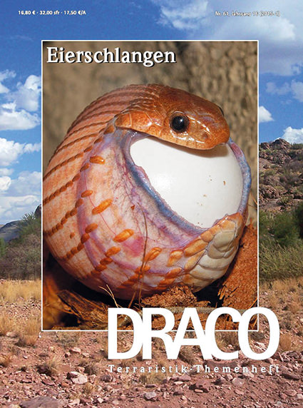 Draco 61 - Eierschlangen