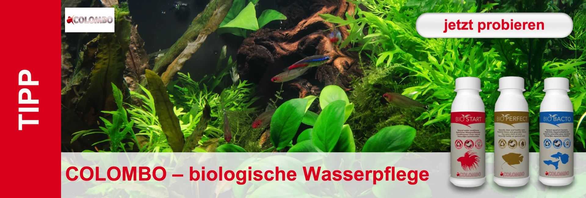 Ein üppiges Aquarium mit grünen Pflanzen, kleinen Fischen und drei Flaschen Wasserpflegeprodukten im Vordergrund.