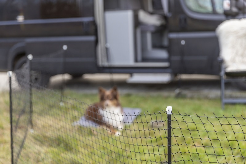 Mobile dog fence