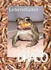 Draco Nr. 28 Lebendfutter