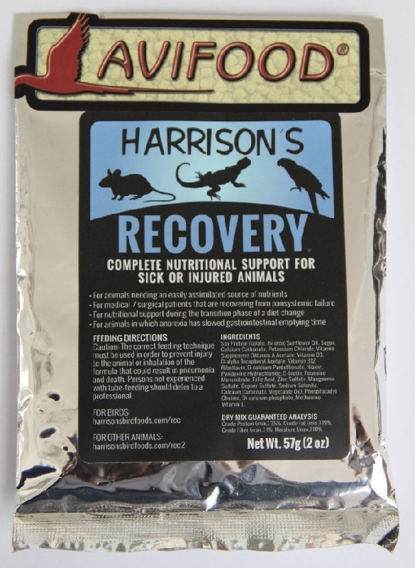 Harrison Handaufzucht Recovery