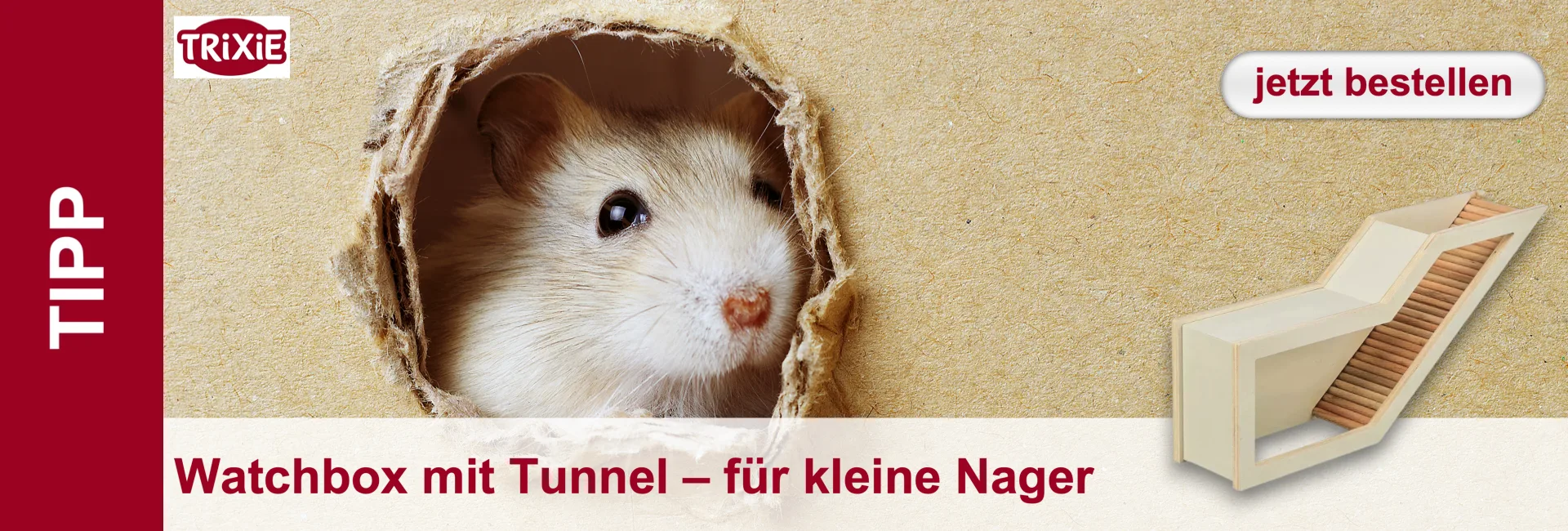 Ein kleiner, hellbrauner Hamster mit schwarzen Knopfaugen lugt neugierig aus einem runden, zerfetzten Loch in brauner Pappe. Rechts daneben steht eine helle, mehrstufige Holzkonstruktion mit Treppen und Rampen, eine Watchbox mit Tunnel.