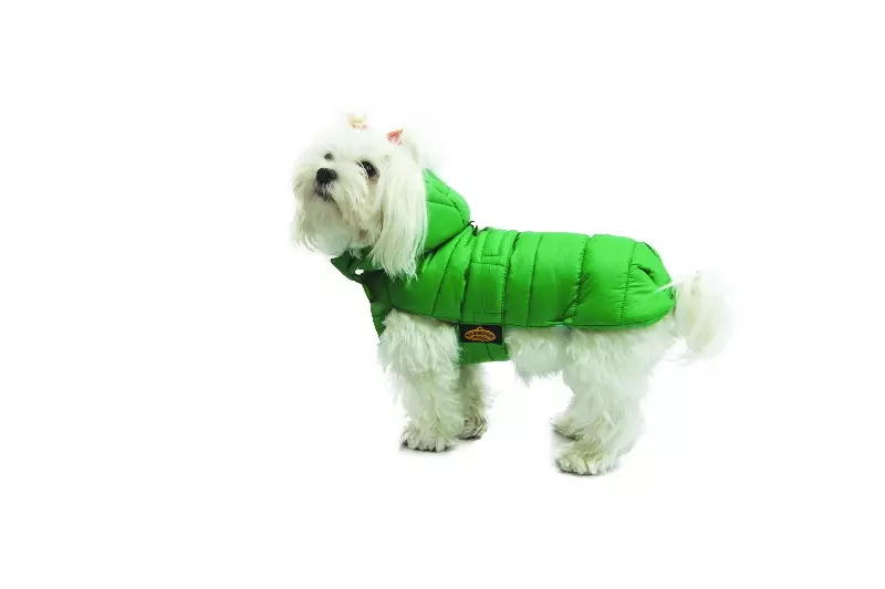 Winter-Hundemantel Bomber grün