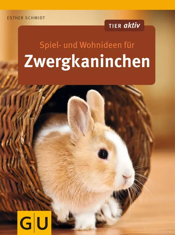 Spiel- und Wohnideen für Zwergkaninchen 