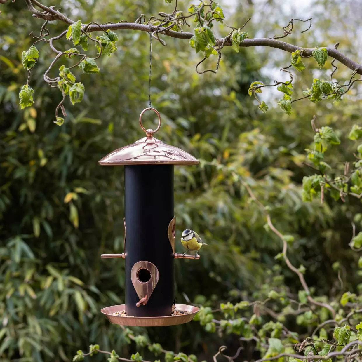 Vogelfuttersilo für Sämereien