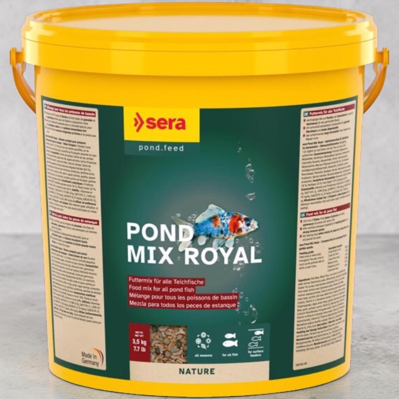 Secchio di plastica giallo con la scritta "Sera Pond Mix Royal Nature", mangime misto per pesci da laghetto. Etichetta verde con una carpa koi colorata (arancione, blu, nero) e bolle d'aria. Sotto, fiocchi e granuli. 3,5 kg.