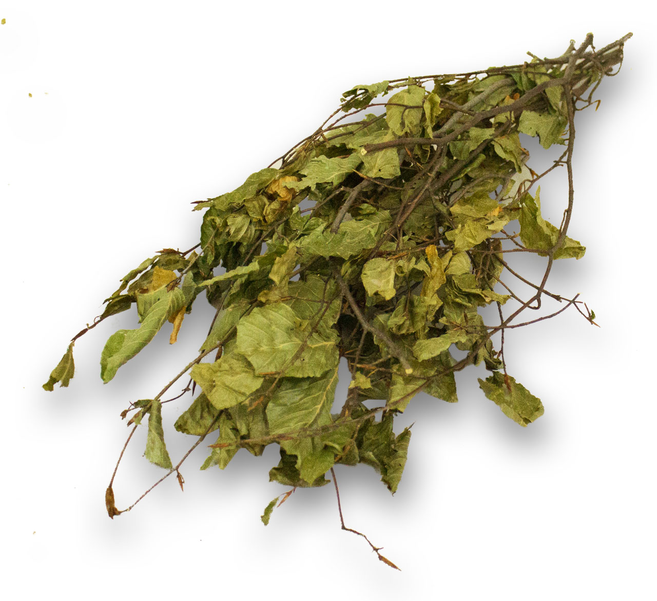 A bundle of dried leaves and thin, tightly bound twigs. The leaves are wilted, greenish-brown and partly crumpled. Bare twigs form a dense cluster. It lies diagonally on a white background.